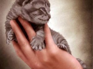 Broderie Diamant Chaton dans une main